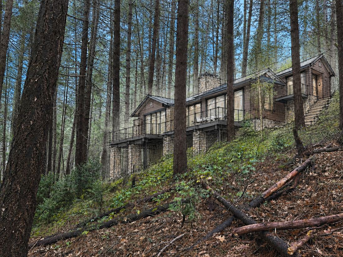 Concept illustration: a timber and stone house stepping down a wooded slope with decks facing the water